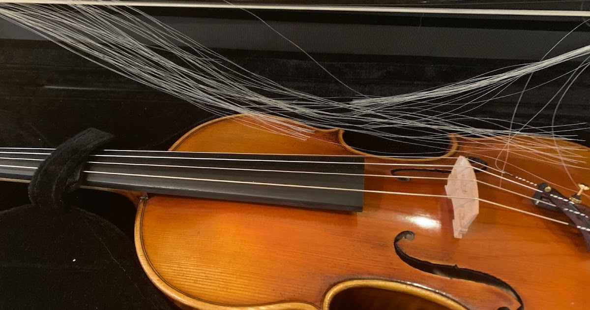 The Violin Shop Bow Bugs Little Bugs That LOVE Bow Hair