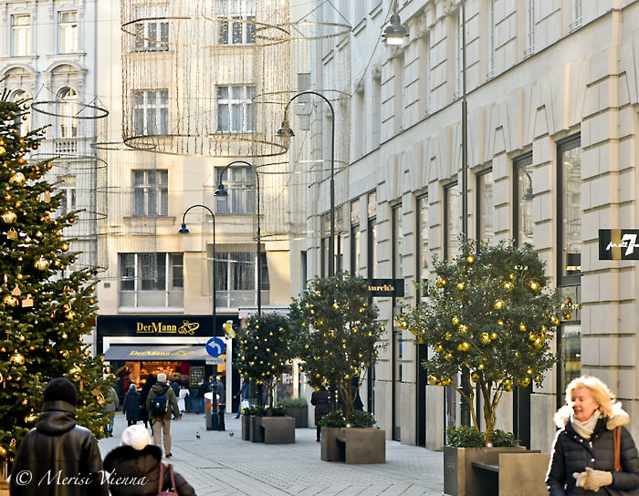Merisi's Vienna for Beginners A December MorningChristmas in Vienna
