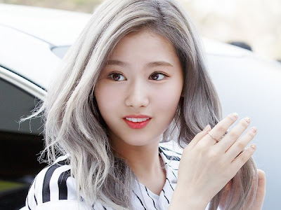 最高の動物画像