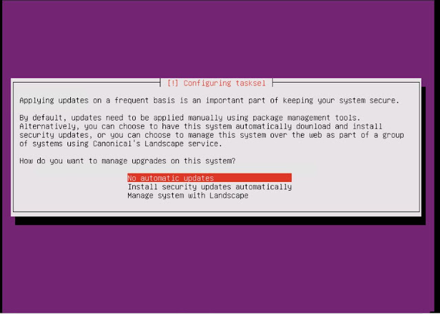 choose%2Bno%2Bautomatic%2Bupdate%2B %2B23 install ubuntu 18.04 server