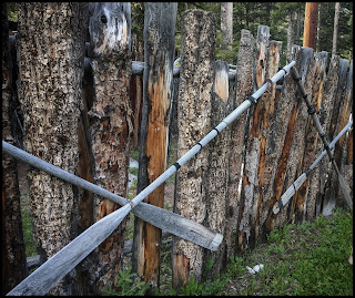 Boat Ores on the fence from around the 1930's. Old Wooden Boat Ores on the fence from around the 1930's.