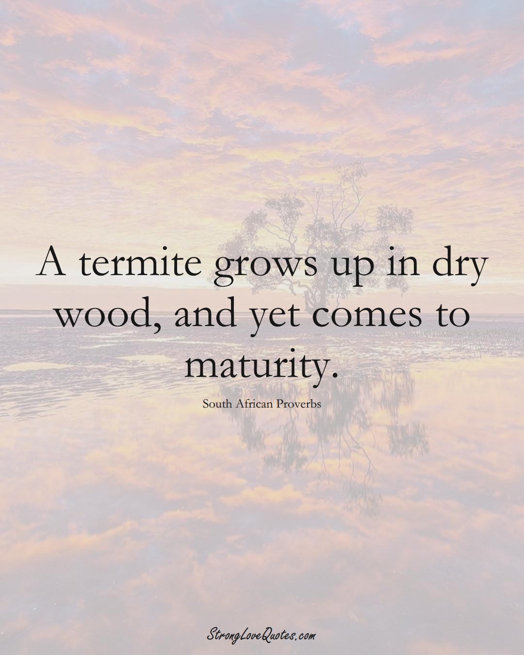 A termite grows up in dry wood, and yet comes to maturity. (South African Sayings);  #AfricanSayings