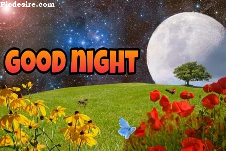 Good Night Photos | Best 22 Good Night Photo Good Night Photos | Best 22 Good Night Photo