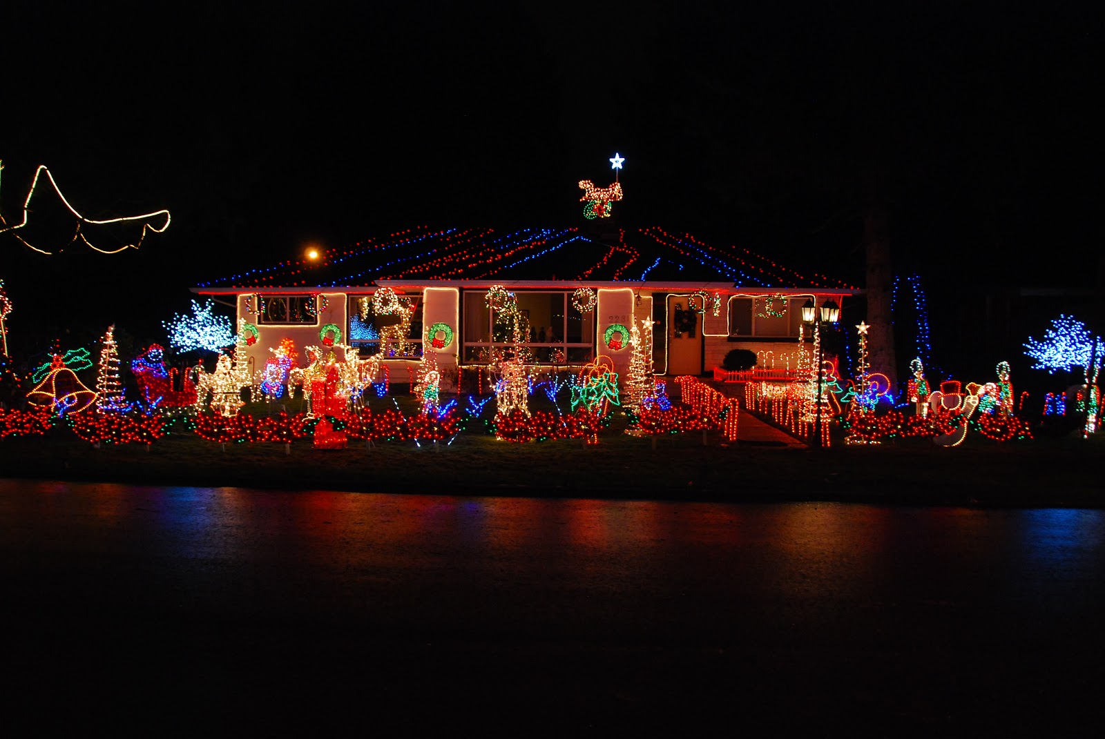 Dew Drops Christmas Lights Displays
