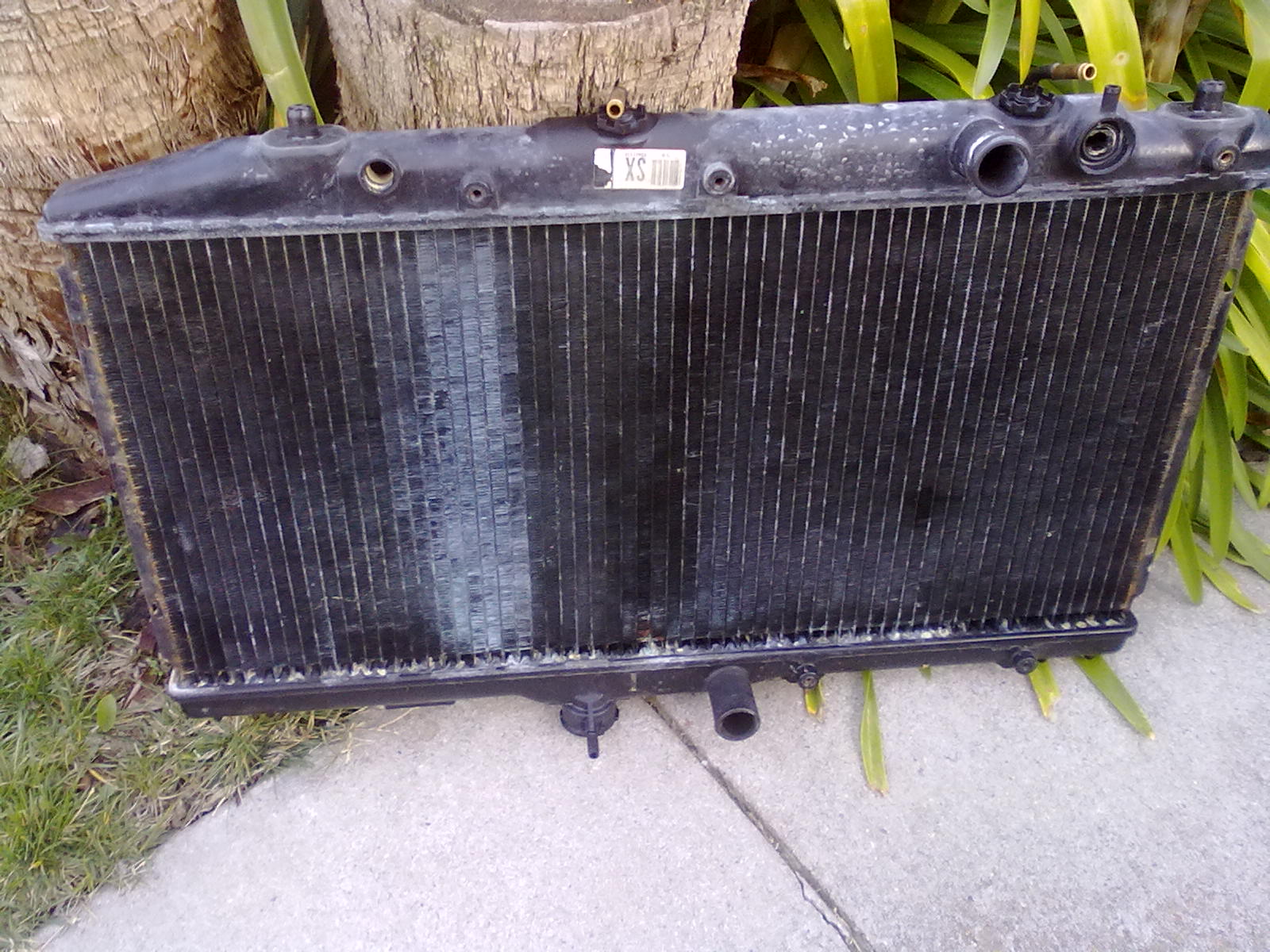 Cat Lover Leaky radiator Corolla