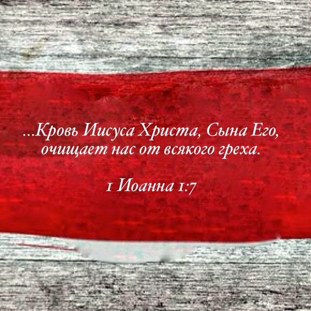 библия написанная кровью. библия написанная кровью. библия об отношении к животным. кровь иисуса христа очищает. терновый венец из библии.
