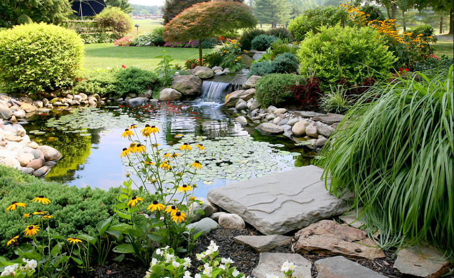Back to Eden Gardening