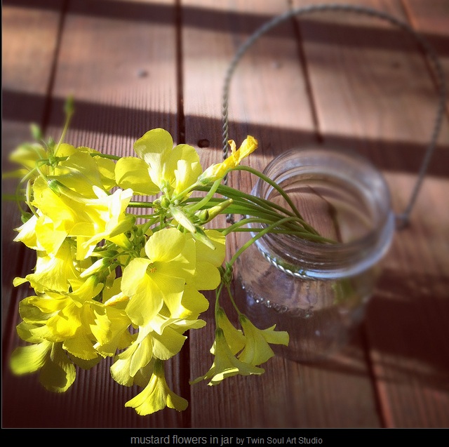 Renée Finberg ' TELLS ALL ' in her blog of her Adventures in Design