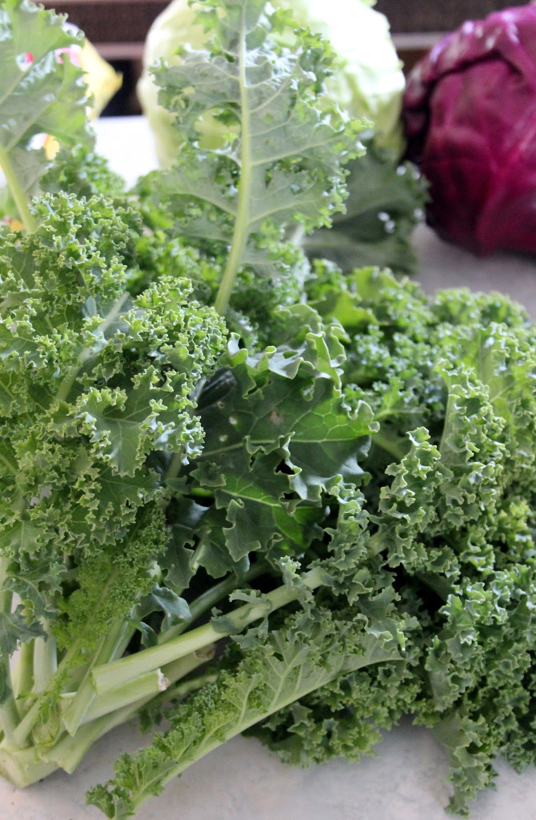 Jo and Sue Kale and Cabbage Salad with Poppy Seed Dressing