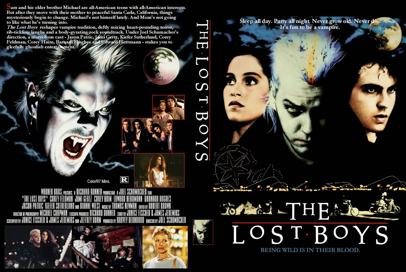 the lost trailer espa ol the lost boys 1987 j 211 venes mal j 211 venes ocultos the lost trailer espa ol the lost boys 1987 j 211 venes mal j 211 venes ocultos