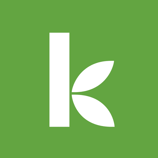 Kiva loans