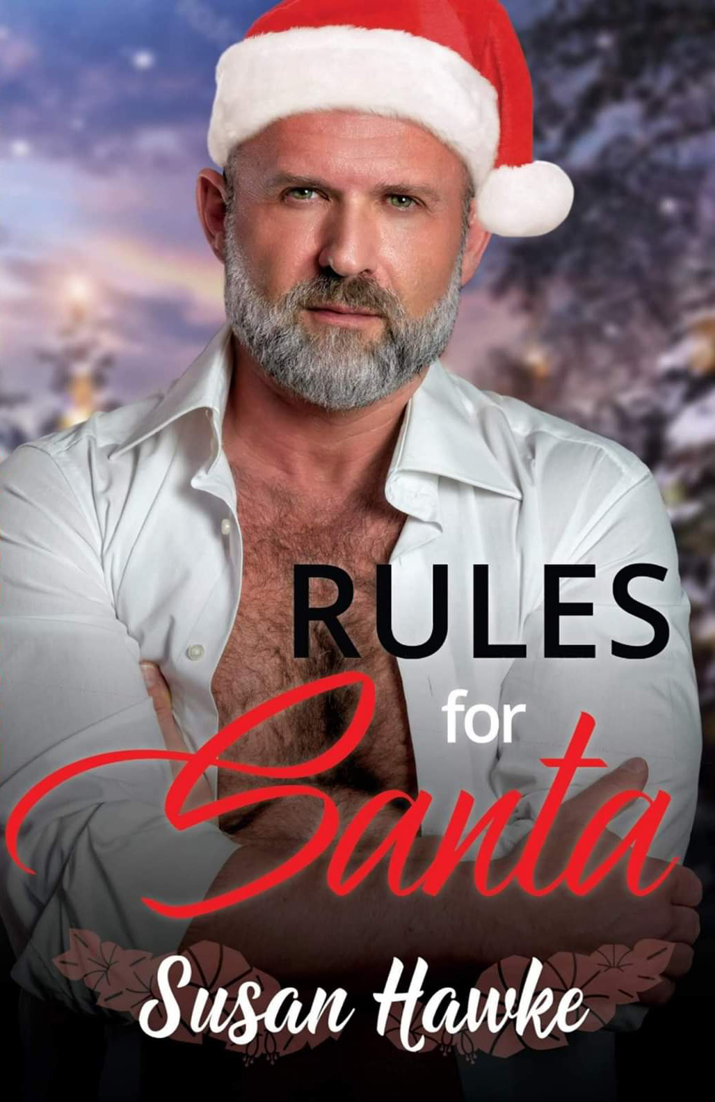 Review: Rules for Santa by Susan Hawke (Davey's Rules #3)