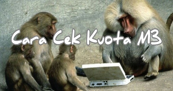 Cara Ngecek Kuota M3 - Cara Ngecek Kuota Indosat | Nadia Hana Wisista