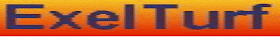 exelturf