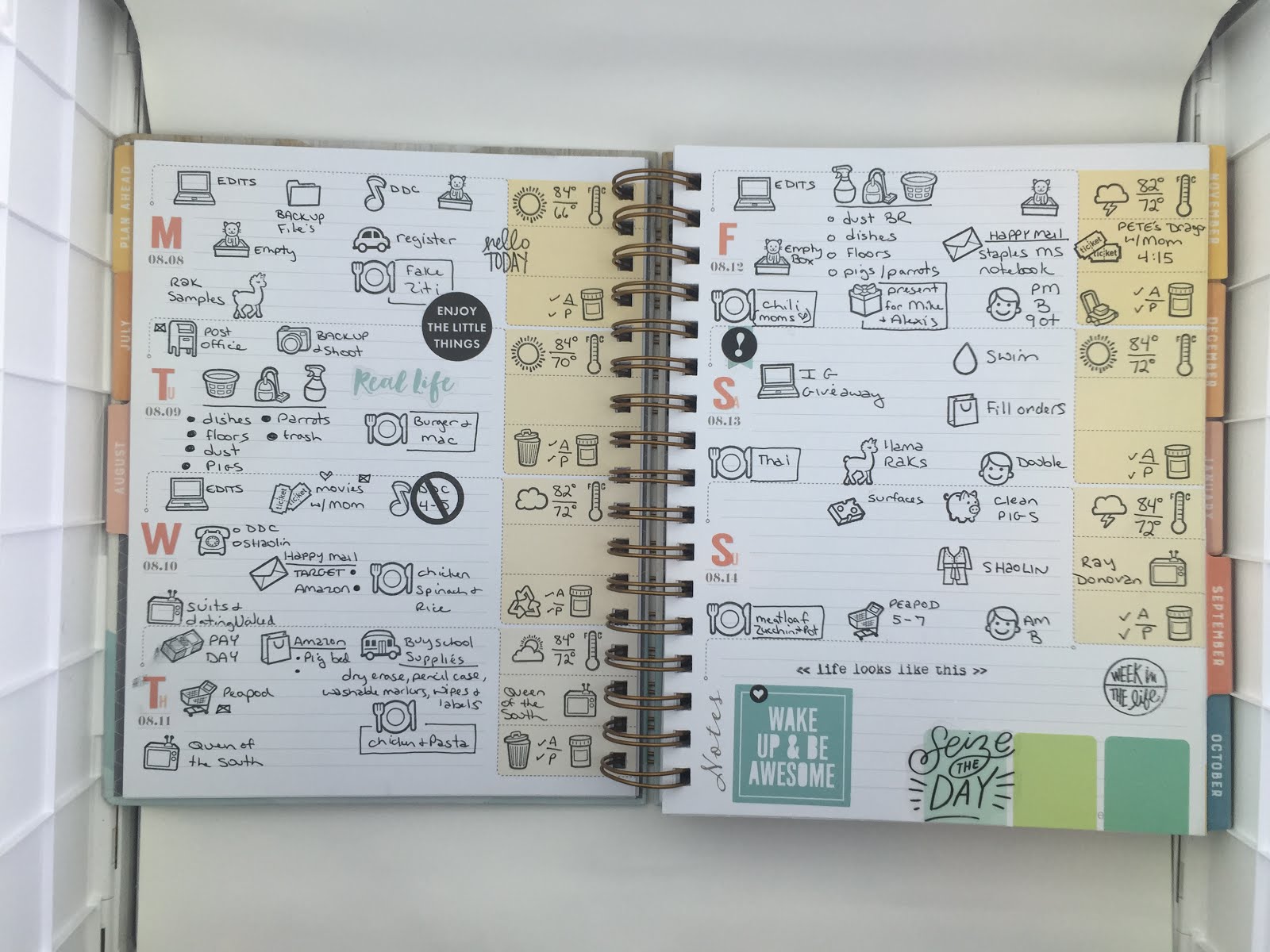 Starving Artistamps Gallery