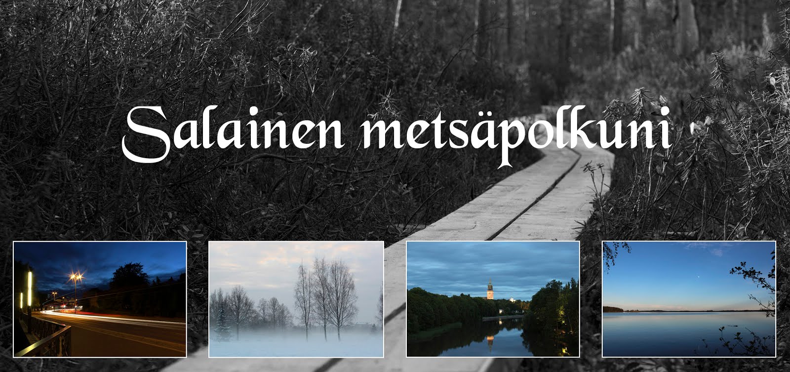 Salainen metsäpolkuni