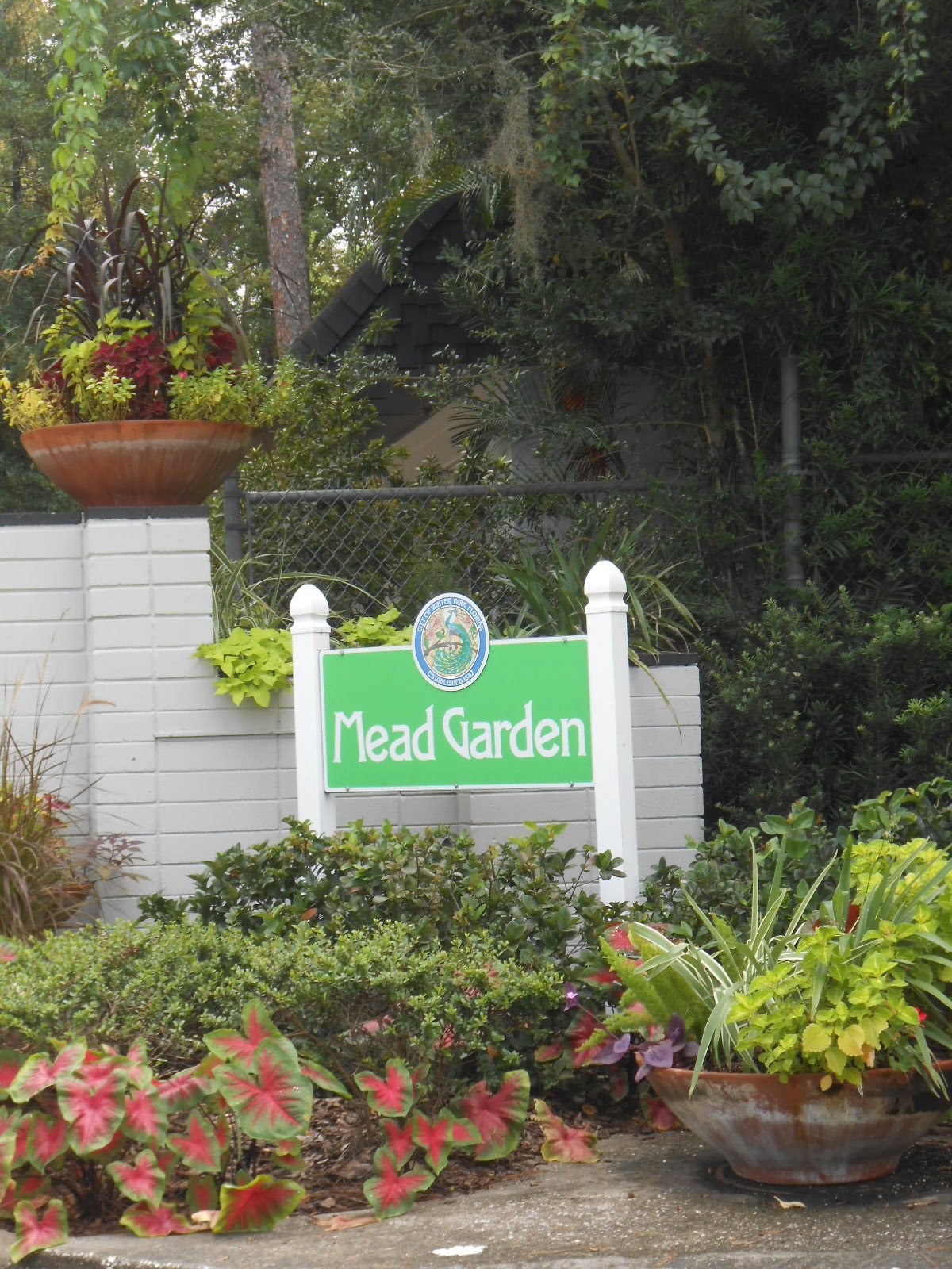 My Daily Swoon Birding at Mead Gardens