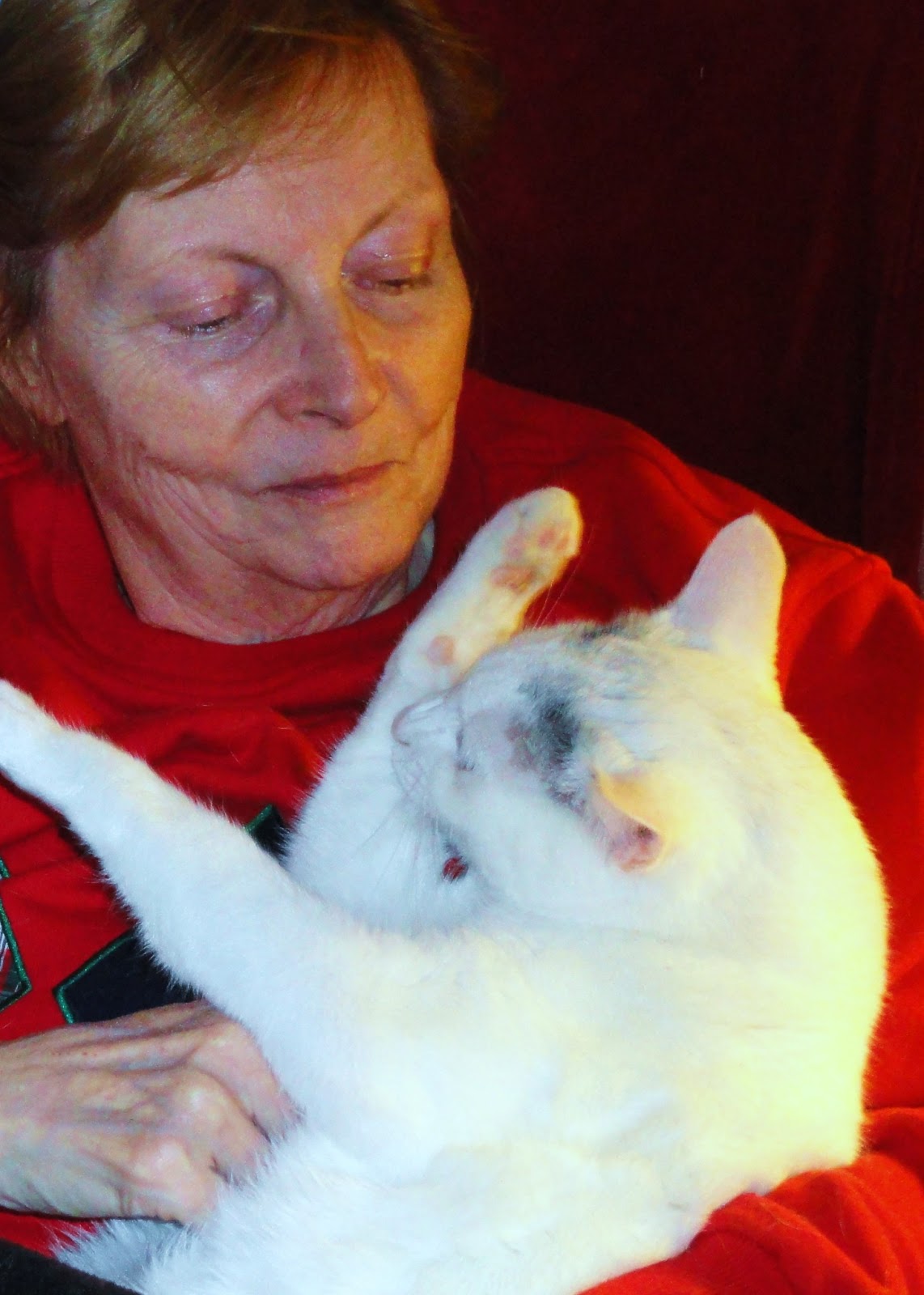 DOWAGER QUEEN: Cat Purr Healing