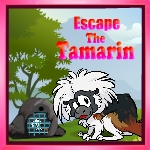 Gameszone15 Escape The Tamarin