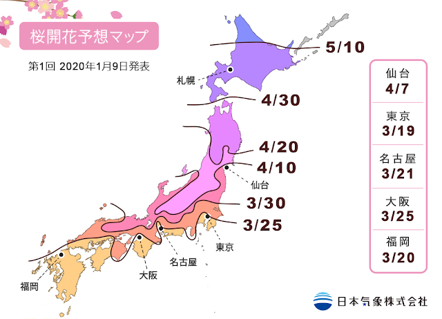 Japan Cherry Blossom Forecast 2020