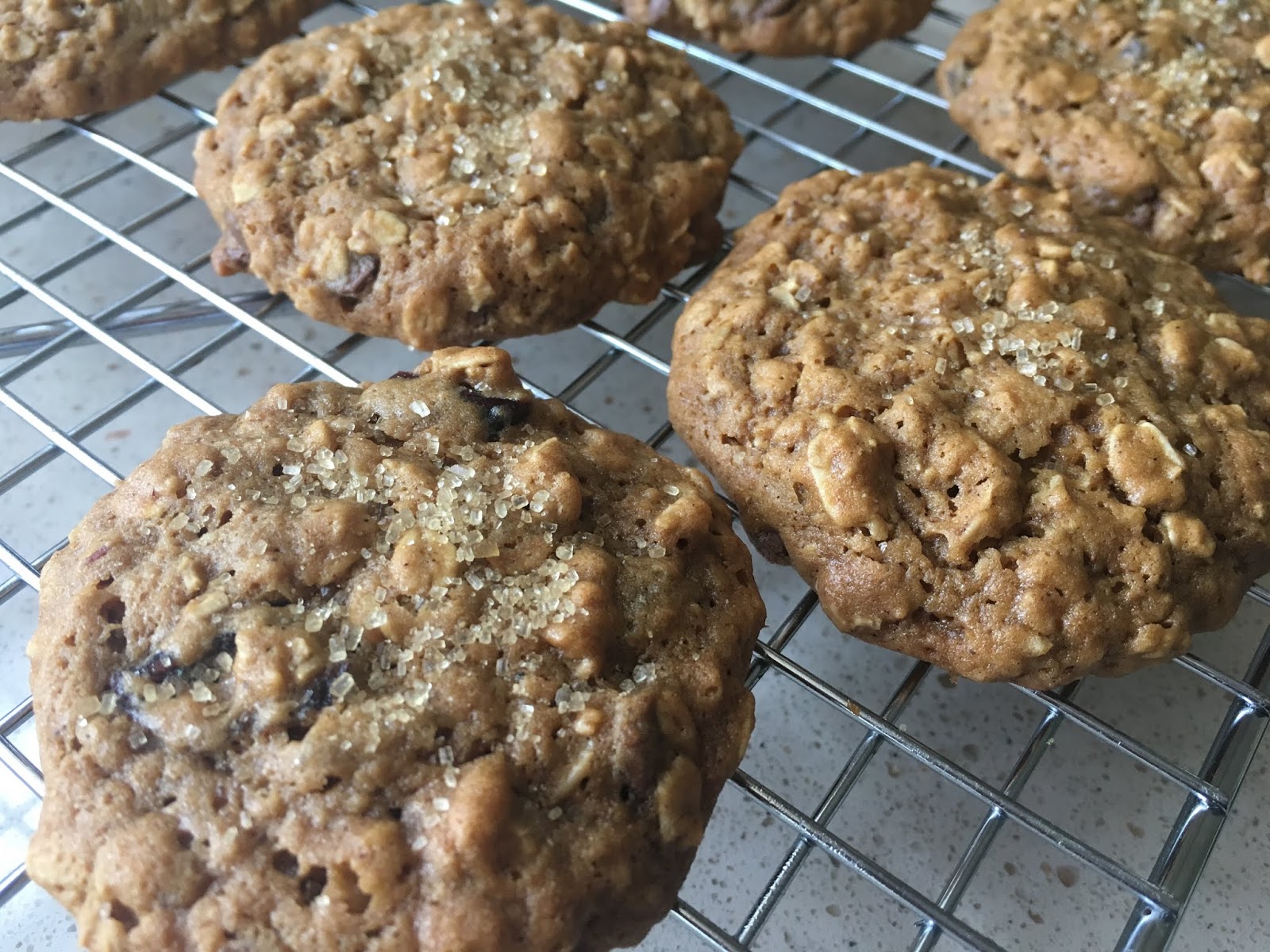 Make My Day Camp Molasses Oatmeal Cookies