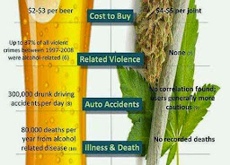 Alcohol vs Cannabis