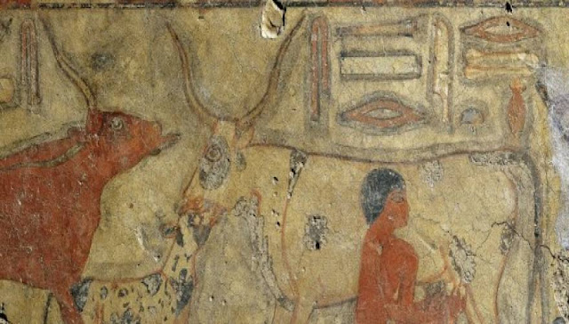 Αποκαλύφθηκαν τα μυστικά των Γραφών των Πυραμίδων; - Η επαναστατική ερμηνεία που προκαλεί τους αιγυπτιολόγους  