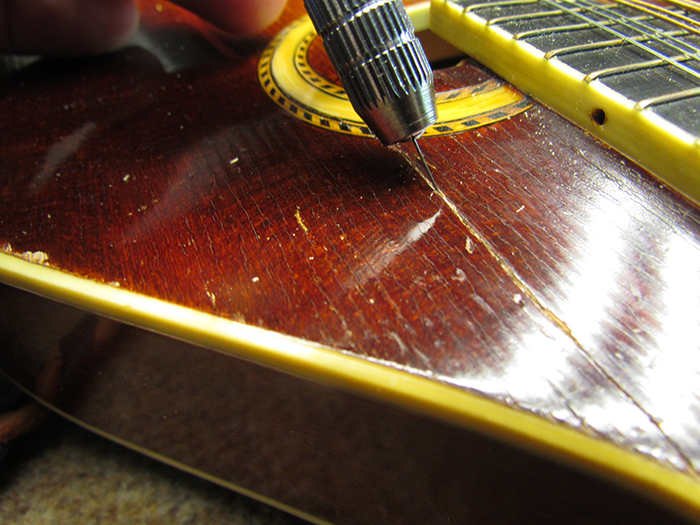 Crawls Backward (When Alarmed)