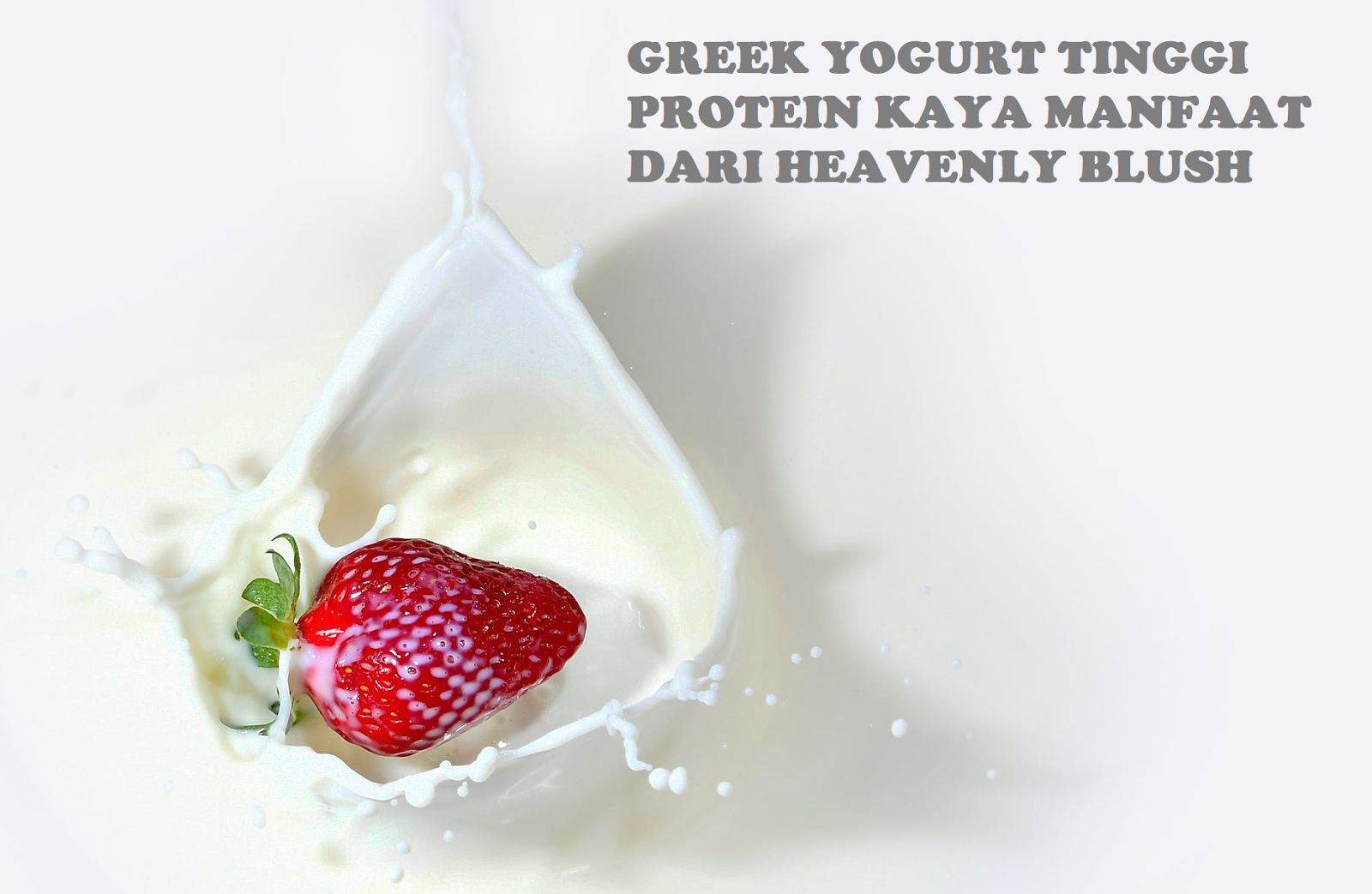 Greek Yogurt Tinggi Protein Kaya Manfaat Dari HEAVENLY BLUSH