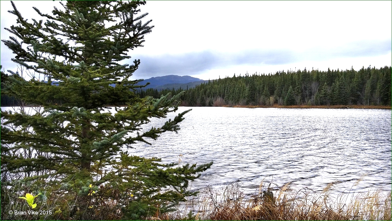 Northern Interior British Columbia Silverthorne (Erickson) Lake Recreation Site Houston British
