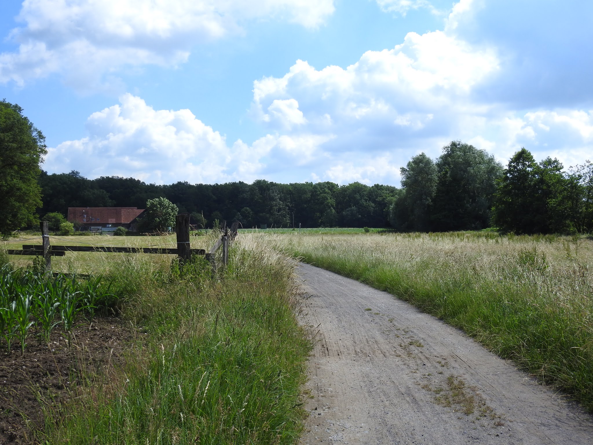 Travel with Kevin and Ruth: Exploring Dulmen, Germany