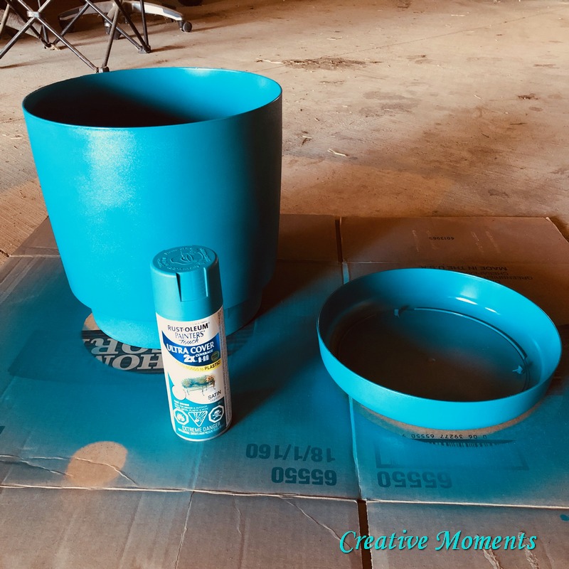 Plastic Plant Pots Spray Painted & Updated