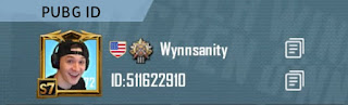 Wynnsanity PUBG Mobile ID Number