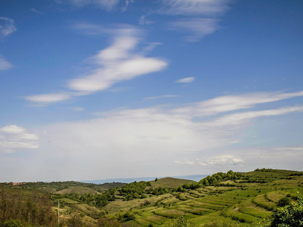 Sat Cerisor - Comuna Lelese