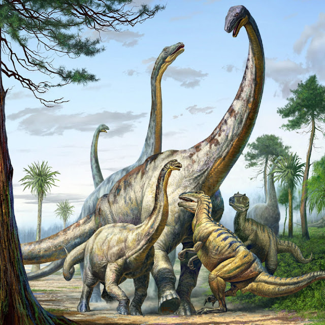 Diplodocus and Allosaurus