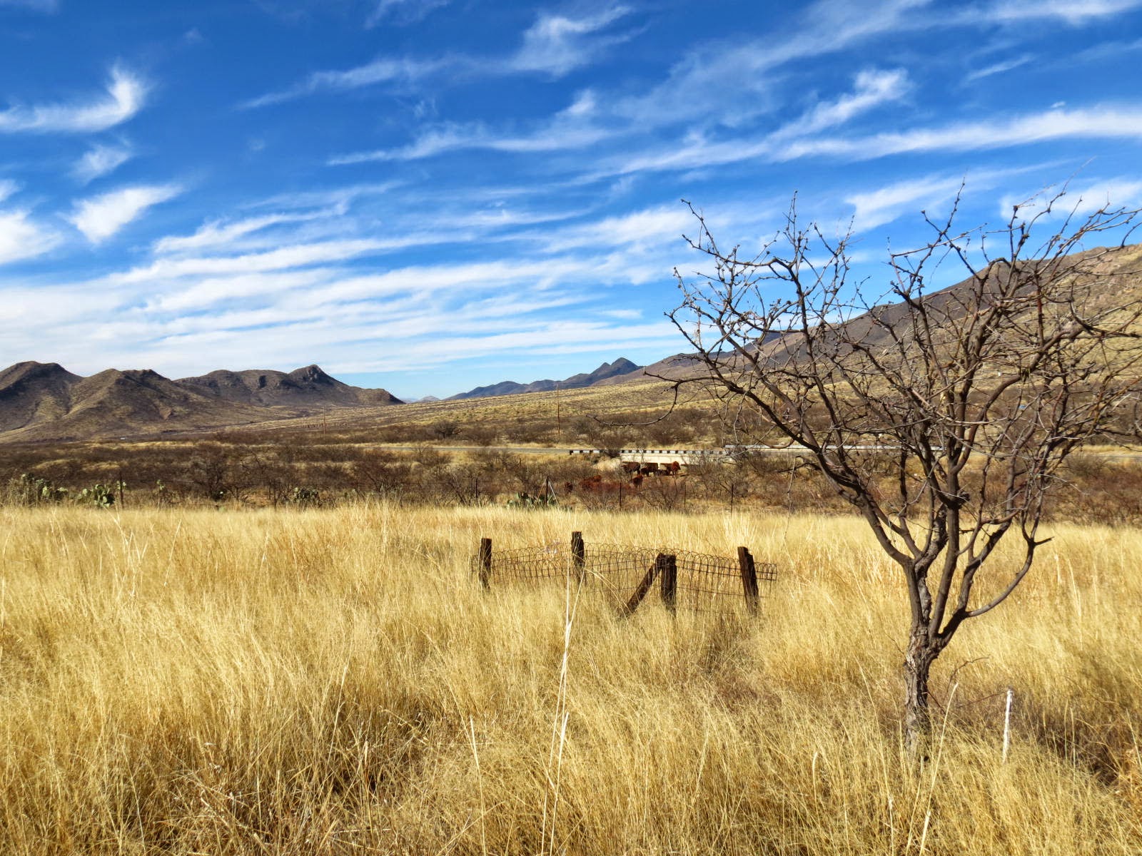 A Shot in the Light Pioneer Cemetery at Dos Cabezas, Arizona