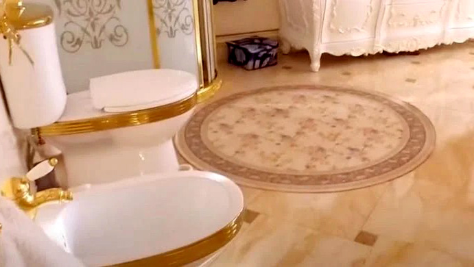 Gold-plated toilet in policeman's house with bribe money