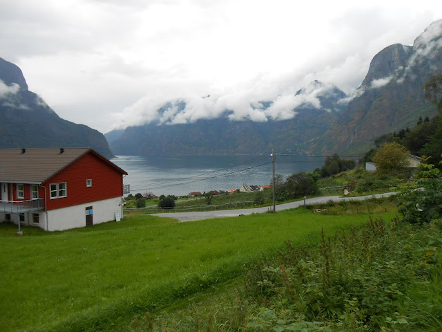 Fiordos Noruegos - Oslo (14 días por nuestra cuenta) Agosto 2013 - Blogs de Noruega - Día 6 (Nærøyfjord - Kaupanger - Flam) (8)