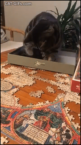Funny Cat GIF • CATastrophe! Clumsy Cat destroys Jigsaw Puzzle catastrophic failure, hahaha Funny Cat GIF • CATastrophe! Clumsy Cat destroys Jigsaw Puzzle catastrophic failure, hahaha