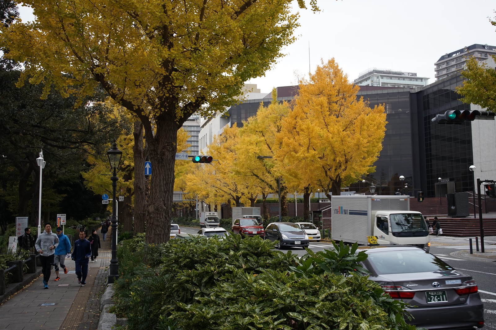 DSC00499.JPG