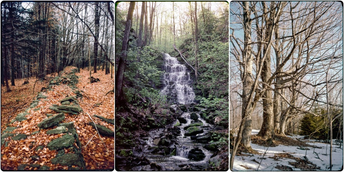 Wonderful Scenes of Chenango County, New York in the 1960s Through