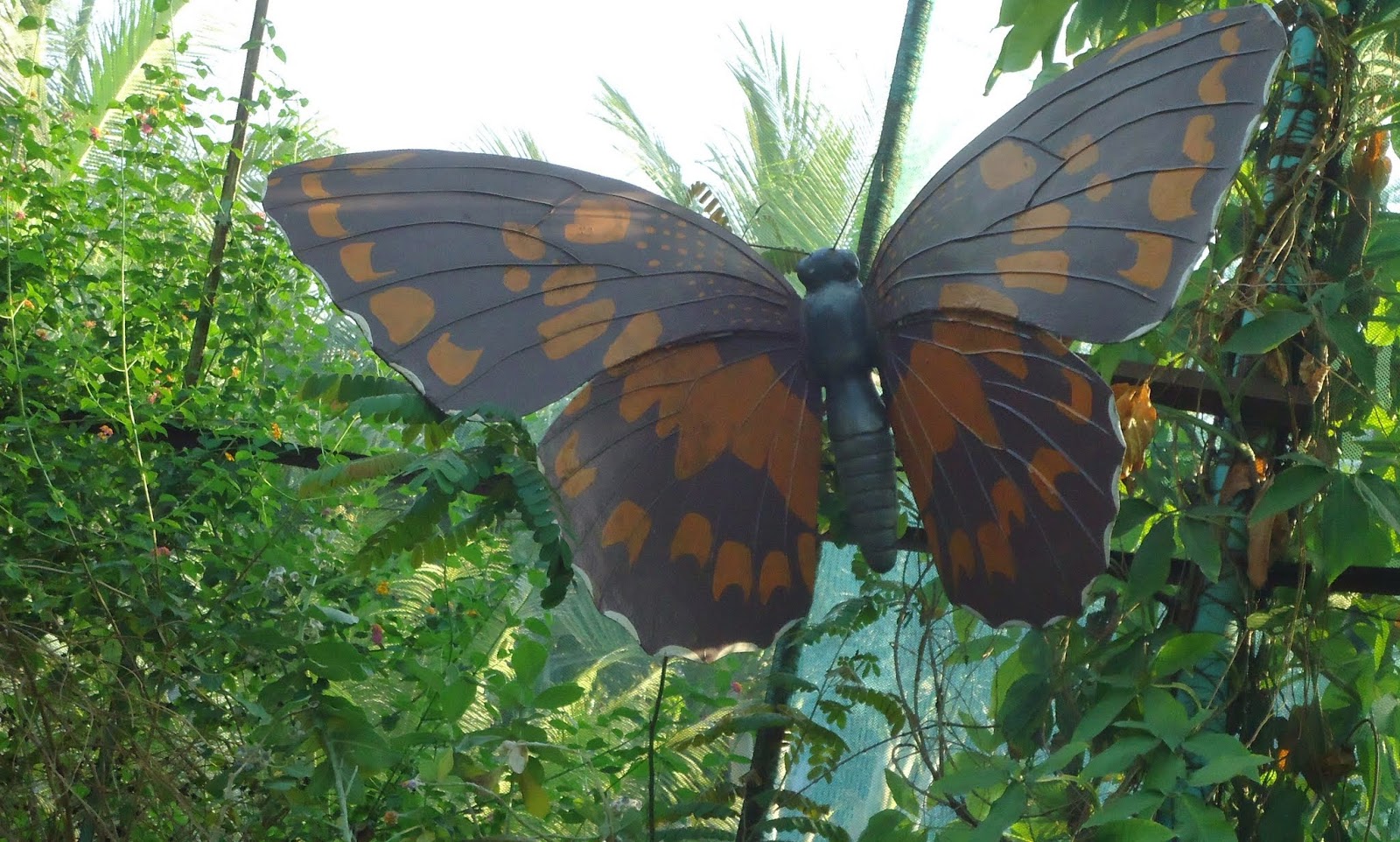 How Visit Butterfly Park Bangladesh