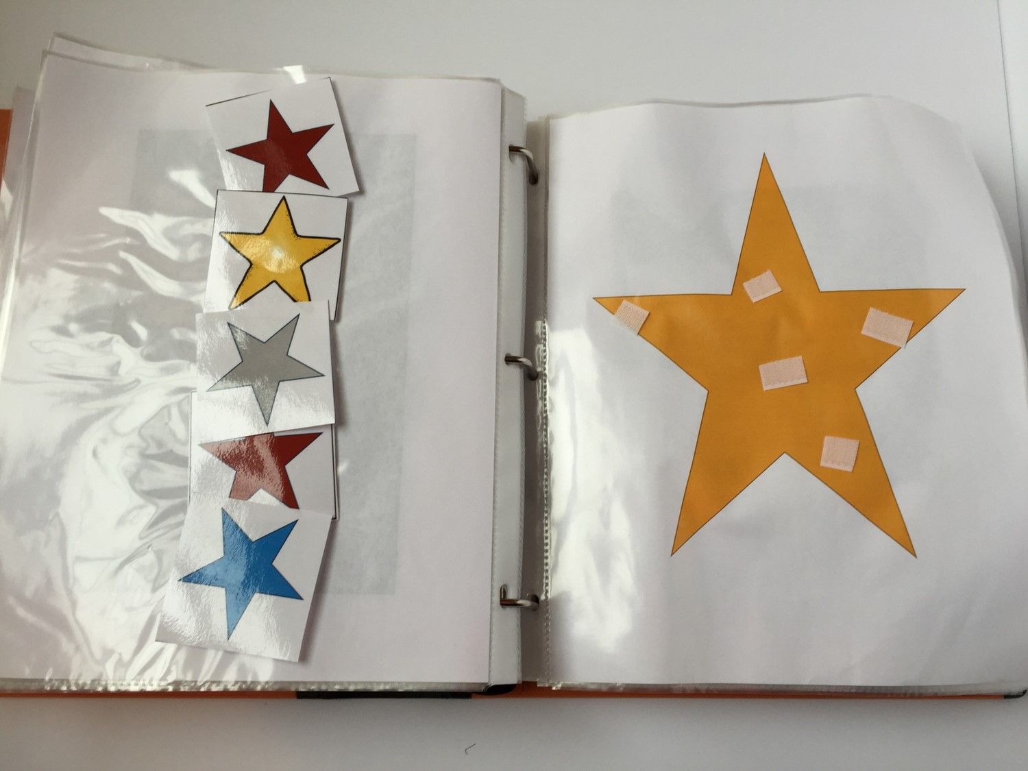 Miss Martel's Special Class: Adaptive Work Binder