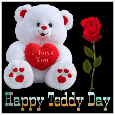 happy teddy day images