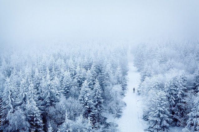snow-neige-nature