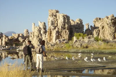 photographers and seagulls among the unusual formations at Mono Lake in Lee Vining in Eastern California