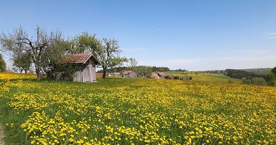 1 Blogevent Gut Kirschen Essen Lecker Co Foodblog Aus