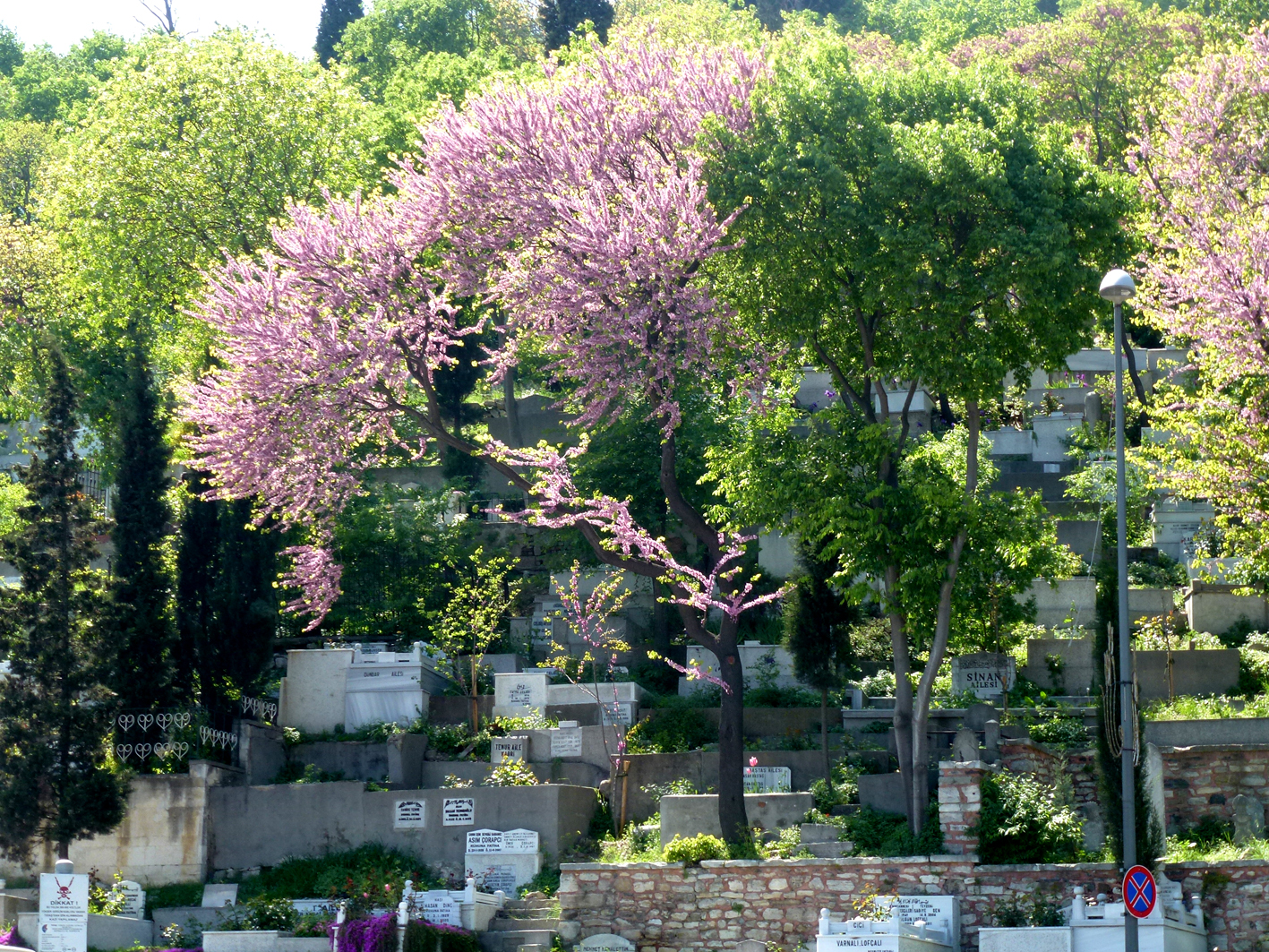 El bazar de la Retórica MUERTOS Tumbas otomanas