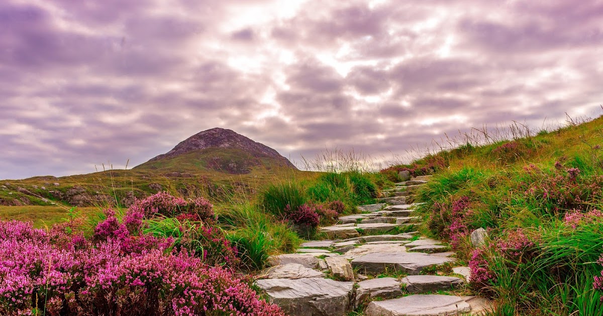 Harga Tiket Masuk Taman Bunga Nusantara Beserta Rutenya ...