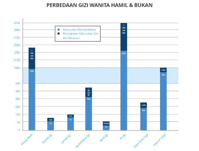 perbedaan kebutuhan gizi wanita hamil dan bukan